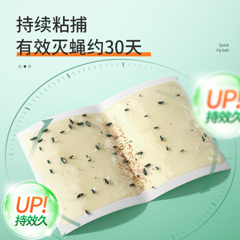 加品惠粘蝇纸30片灭苍蝇器粘蝇胶灭蝇粘板