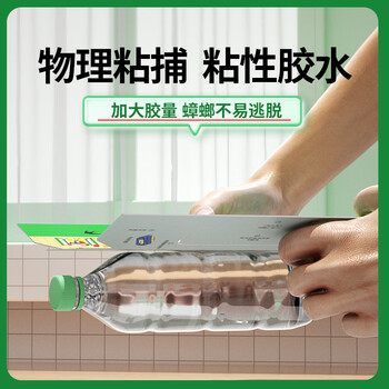 绿叶蟑螂屋5片装家用杀蟑杀蛮蠊杀蟑粘板 2119-5