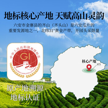 贡苑绿茶头采六安瓜片特级200g新茶叶礼盒装高档礼品送长辈领导