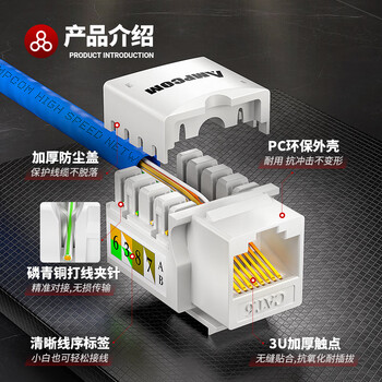 安普康（AMPCOM）网络面板带模块六类 双口千兆CAT6类网线插座 86型二位RJ45镀金网口明装暗装信息套装 AC173243