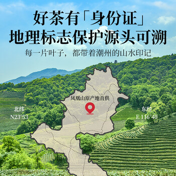 贡苑乌龙茶 潮州凤凰单枞 鸭屎香单丛特级500g礼盒装茶叶自己喝送长辈