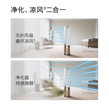 戴森DYSON TP09 空气净化风扇 净化循环二合一 整屋循环净化 除过敏原过滤花粉 宠物毛发 黑金色