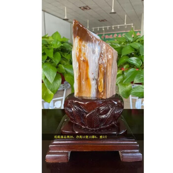 約：1.7kgAAA級☆天然木化玉原石116U3-143U251 - 為念。原礦擺件療癒有