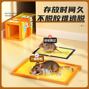 加品惠粘鼠板5张装强效加厚灭鼠黏鼠贴捉捕老鼠贴花生香味