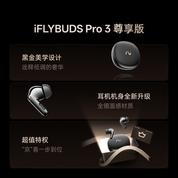科大讯飞（iFLYTEK）AI会议耳机Pro3 翻译耳机入耳式智能降噪蓝牙无线耳机 翻译机 出国旅行通话翻译神器 适配苹果华为
