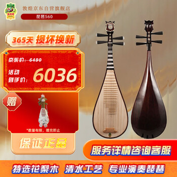 中国琵琶　花梨木  高級　大人  値下げ不可 花梨木琵琶】 - Lin's Culture 林舍文化