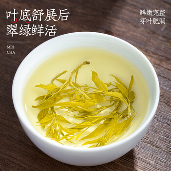 福茗源芽尖莓茶 正宗湖南张家界龙须藤茶张家界养生茶礼盒送长辈250g