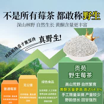 贡苑莓茶560g特级野生张家界莓茶芽尖降藤霉三月2026新茶高端午节礼盒