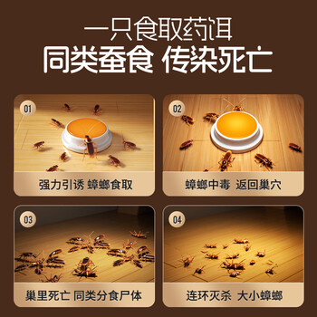 绿叶蟑螂药杀蟑胶饵24枚装杀蛮蠊方便贴灭蟑杀虫剂7106/3 绿叶蟑螂药杀蟑胶饵24枚装杀蛮蠊方便贴灭蟑杀虫剂7106/3