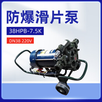 军华  电动防爆滑片泵抽油泵输油泵38HPB-7.5K (1.5寸 220V DN38）【1台】（油库 油料器材）