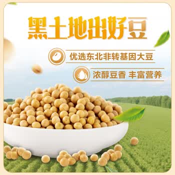 金龙鱼有机认证纯豆浆粉240g（12条）非转基因40%高蛋白即食冲饮早餐