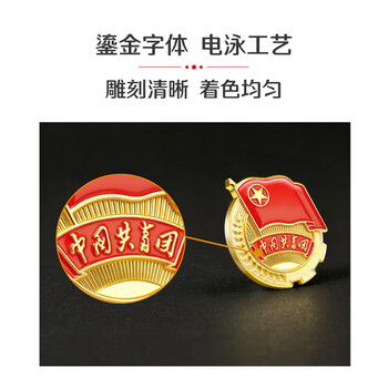 优和（UHOO）中国共青团团徽正版不褪色2025最新入团标准款学生团员徽章双面强磁磁吸大磁扣 别针款50个装0212