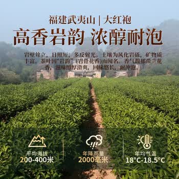 去寻乌龙茶福建武夷大红袍醇香型160g茶叶礼盒装端午父亲节送礼品礼盒