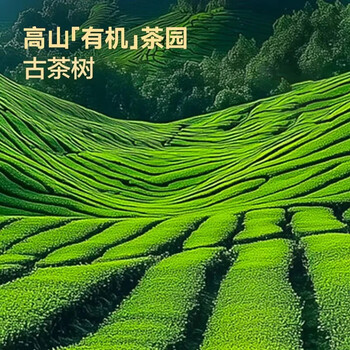 京东京造古树有机滇红60g云南凤庆特级红茶茶叶自己喝自营高品质伴手礼