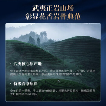 华祥苑国缤茶 正岩大红袍特级武夷岩茶茶叶礼盒41.5g送礼礼品