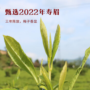 八马茶业 福鼎白茶240g  紫金白兰 3年窑藏老白茶 高端礼品【3年寿眉】