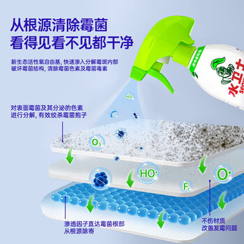 水卫仕除霉清洁剂墙体墙面去霉斑清洁剂 新旧随机发 除霉清洁剂480g*2瓶