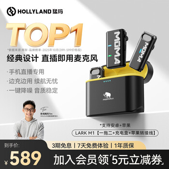 猛玛麦克风- 京东