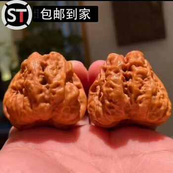 文完核桃金蝉品牌及商品- 京东