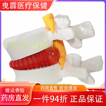 椎体模型品牌及商品- 京东