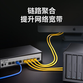 磊科（netcore）GS9 9口网管型2.5G交换机 8个2.5G电口+1个万兆SFP光口 千兆网络分线器 支持vlan链路聚合/NAS光猫