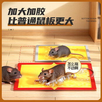 绿叶（Green Leaf）粘鼠板6张装超强力粘板老鼠贴灭鼠老鼠神器GL1005