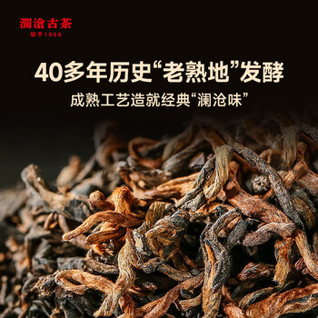 澜沧古茶 2024年景迈春香熟茶 景迈山春茶老树拼古树普洱茶茶叶357g