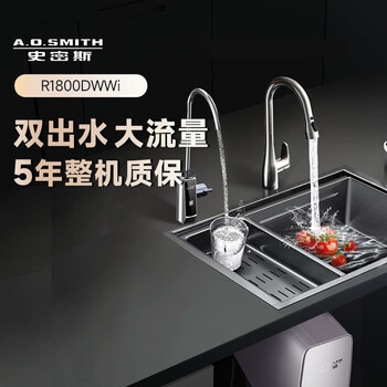 史密斯（A.O.SMITH）净水器家用净水器AI-LiNK厨房专用台下用净水机直饮一体机双出水 冠军之选 R1800DWWi