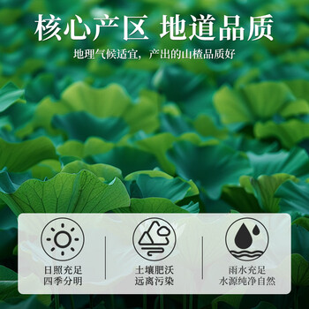 福茗源花草茶 荷叶茶 荷叶颗粒纯荷叶无添加泡水喝的搭决明子罐装170g