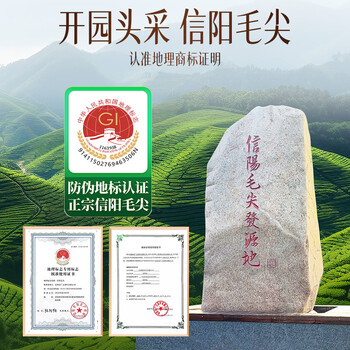 贡苑绿茶信阳毛尖特级330g 头采新茶高档茶叶礼盒送长辈老丈人