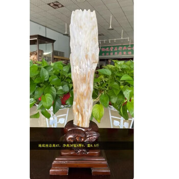 約：1.7kgAAA級☆天然木化玉原石116U3-143U251 - 為念。原礦擺件療癒有