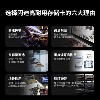 闪迪（SanDisk）256GB TF（MicroSD）4K内存卡 行车记录仪 监控摄像头专用 循环录制20,000小时 高耐用存储卡