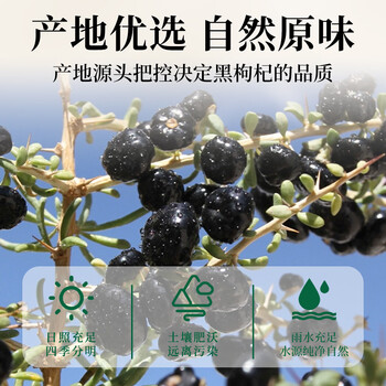 福茗源黑枸杞 精选大果青海柴达木黑枸杞子免洗苟杞子养生茶罐装250g