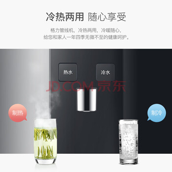 格力（GREE）【制冷加热双功能】管线机净饮机壁挂式家用速热式饮水机直饮机速热壁挂式WTE-XB-032-D