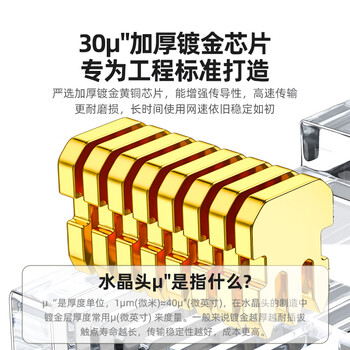 山泽 工程级六类30U镀金非屏蔽水晶头 6类RJ45电脑网络宽带连接头 千兆网线水晶头 100个 SJ-C06