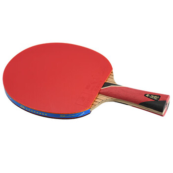 双鱼（DOUBLE FISH）八星级横拍长柄比赛专业级桧木碳素双面反胶双鱼乒乓球拍8A+C