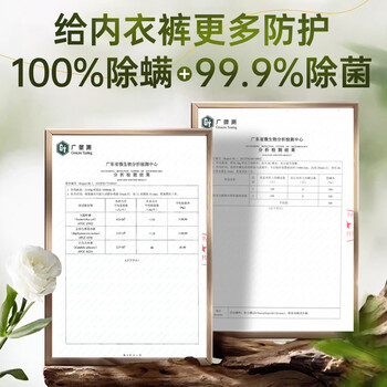 妇炎洁植物本草除菌洗涤液300g*3瓶内衣裤专用洗衣液除菌除螨去血渍污渍