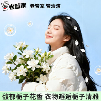 老管家 羽绒服泡泡慕斯 免水洗 260ml干洗剂衣物泡沫清洁剂