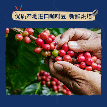 拉瓦萨（LAVAZZA）经典意式咖啡豆商用咖啡豆GRAN ESPRESSO意式浓缩特浓咖啡豆1kg
