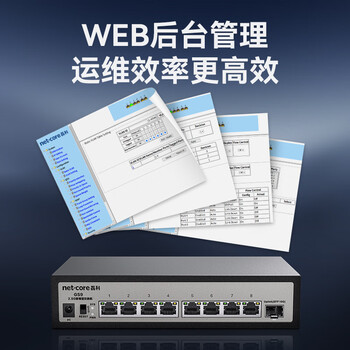 磊科（netcore）GS9 9口网管型2.5G交换机 8个2.5G电口+1个万兆SFP光口 千兆网络分线器 支持vlan链路聚合/NAS光猫