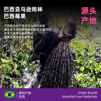 BALANCE MASTER冻干巴西莓粉天然花青素冲饮膳食纤维acai阿萨伊果蔬100g