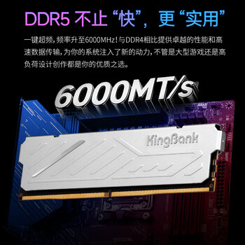 金百达（KINGBANK）64GB(32GBX2)套装 DDR5 6000 台式机内存条海力士M-die颗粒 银爵 C36 Deepseek硬件