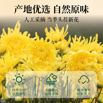 福茗源花草茶 菊花茶金丝皇菊 精选特级品质30大朵一朵一杯泡水喝20g