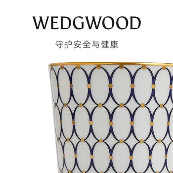 Wedgwood【檀健次同款】WEDGWOOD金粉年华骨瓷马克对杯心动礼盒新婚礼物