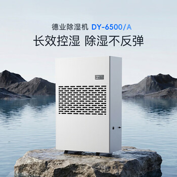 德业(Deye)除湿机/抽湿机 除湿量500升/天 适用1000平方米地下停车库吸湿器工商业车间仓库干燥机DY-6500/A 德业(Deye)除湿机/抽湿机 除湿量500升/天 适用1000平方米地下停车库吸湿器工商业车间仓库干燥机DY-6500/A