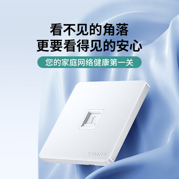 山泽网线网口网络面板 通用超五/六/七类模块加厚86型面板 适用电脑房间网络插座 一位 WAN-01