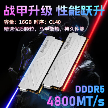 金百达(KINGBANK)16GB DDR5 4800 台式机内存条 银爵 金百达(KINGBANK)16GB DDR5 4800 台式机内存条 银爵