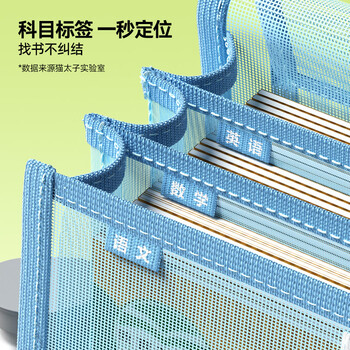 猫太子透明网纱补习袋加厚手提袋大容量作业文件袋翻盖式初中小学生考试专用寒假补课收纳袋分科目补习袋