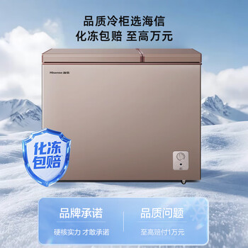 海信（Hisense）206升双温冰柜一级能效冷藏冷冻两用独立分区速冻小型冷柜BCD-206NUD