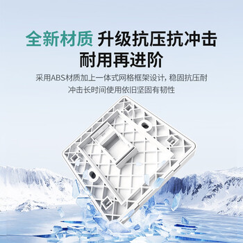 山泽网线网口网络面板 通用超五/六/七类模块加厚86型面板 适用电脑房间网络插座 一位 WAN-01